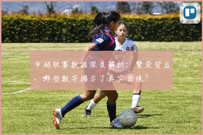 中超联赛数据深度解析：繁荣背后，哪些数字揭示了真实困境？